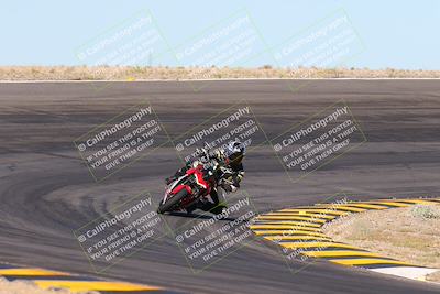 media/May-11-2024-SoCal Trackdays (Sat) [[cc414cfff5]]/2-Bowl Exit (815am)/